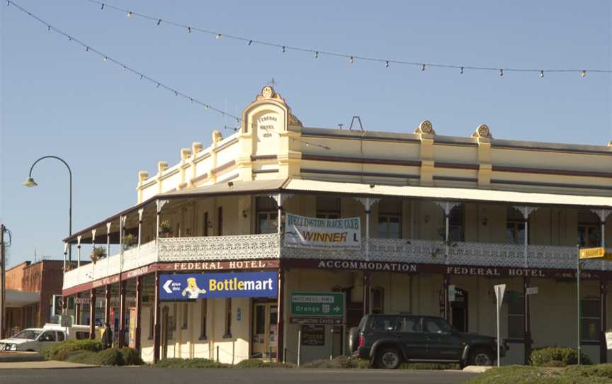 Wellington NSW 2820, Australia - panoramio (1).jpg