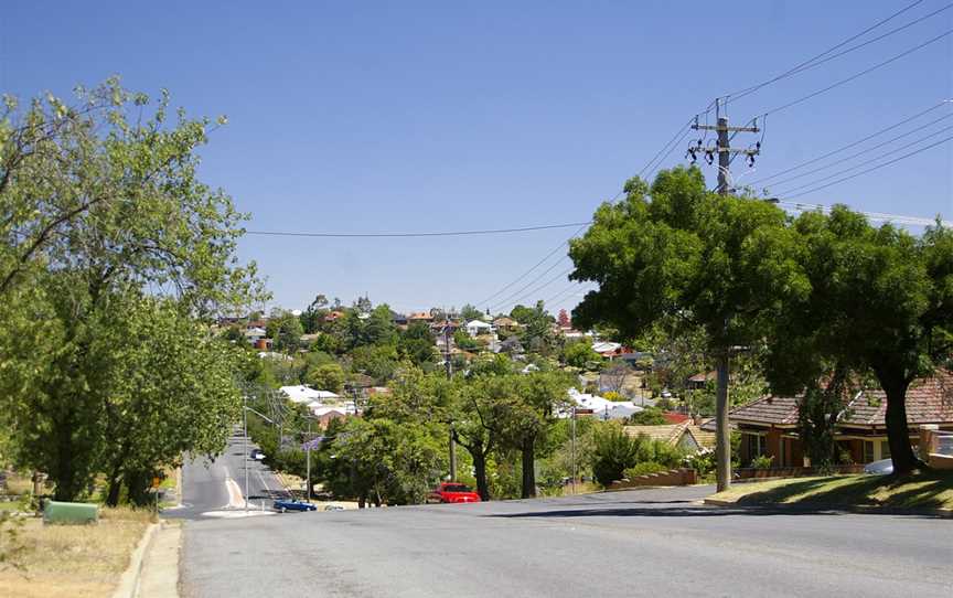 Macleay Street - Turvey Park.jpg