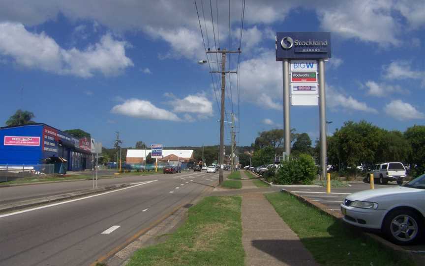 Blue Gum Road, Jesmond.jpg