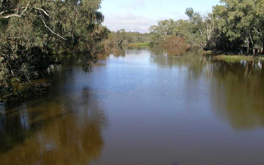 Bogan River Nyngan