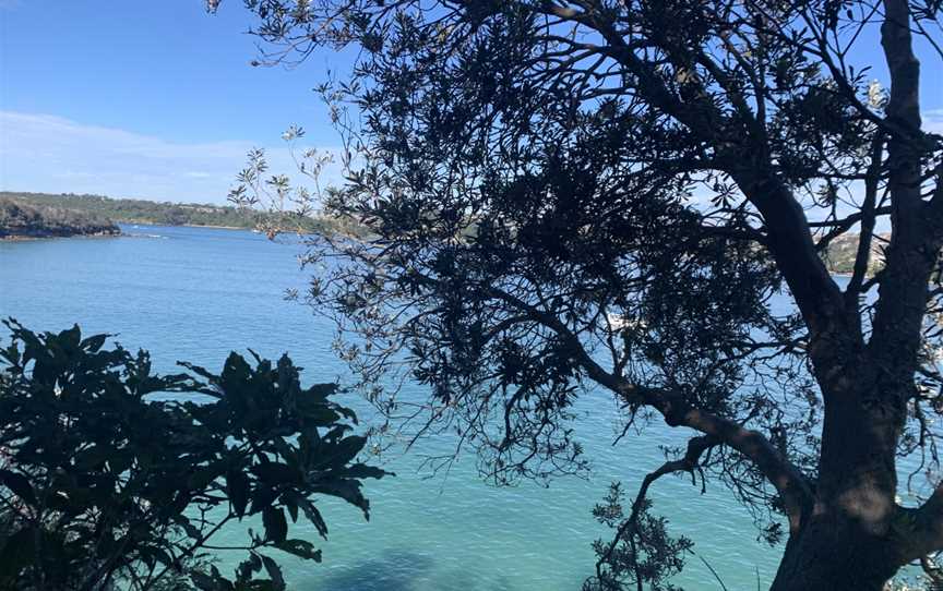 Clontarf Beach from the Spit to Manly Walk.jpg