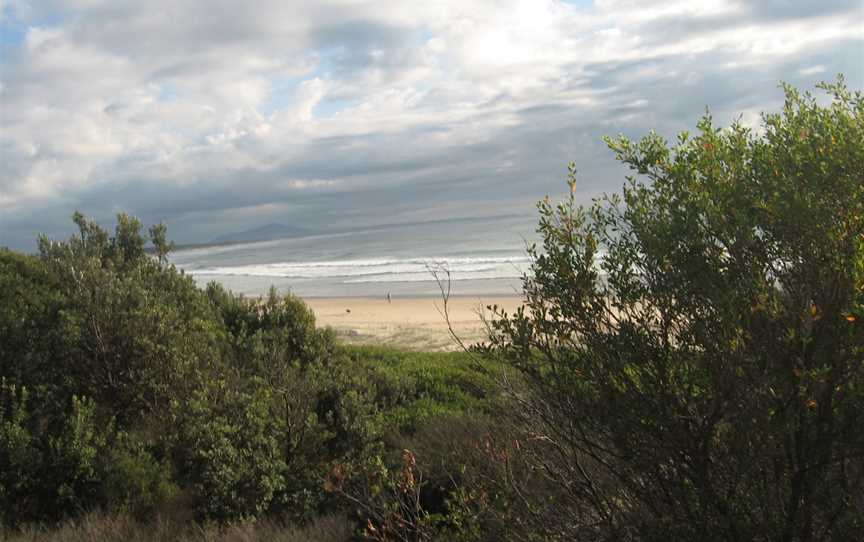 Scotts Head Beach