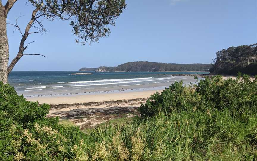 Denhams Beach, New South Wales, 2020.jpg