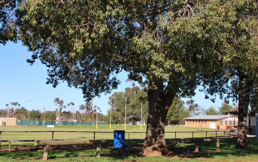 Oaklands Football Ground1