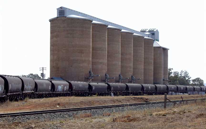 Old Junee Silos