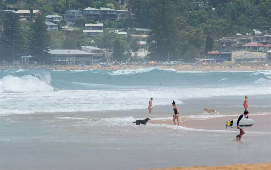 Avoca Beach CNew South Walesfacingsouthtowards Surf Club