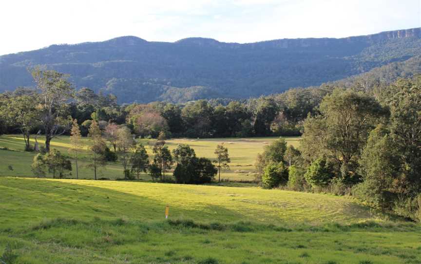 Broughton Vale, New South Wales, escarpment 1.jpg