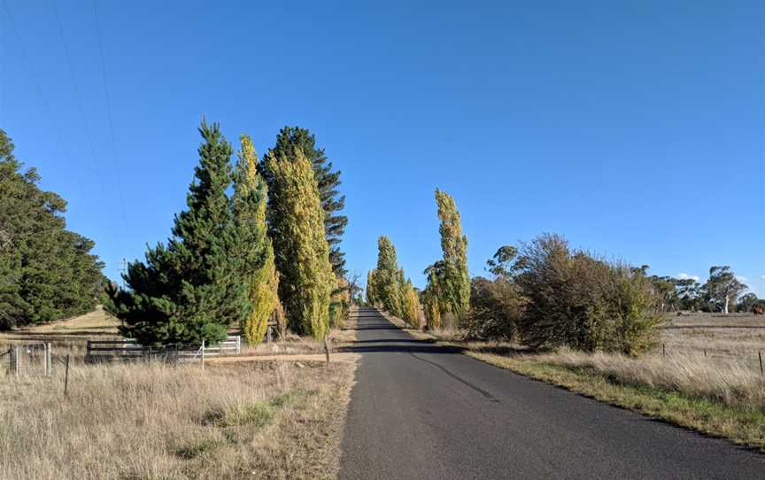 Dairymans Plains, New South Wales.jpg