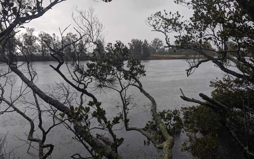 Broughton Creek at Back Forest.jpg