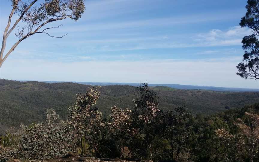 Mt Arthur Reserve View.jpg