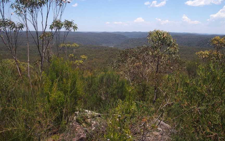 Mooney Mooney creek from Scopas Peak - panoramio.jpg