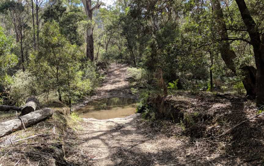 Mulloon fire trail in Tallaganda National Park, Palerang, New South Wales.jpg