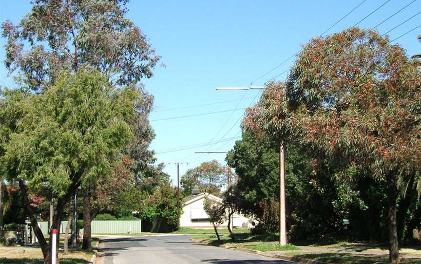 Parafield gardens.jpg