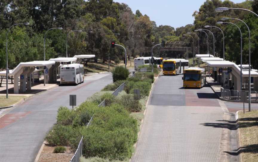 Paradise Interchange, O-Bahn Busway, Adelaide.jpg