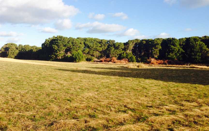 Grassland& Forest CHindmarsh Island