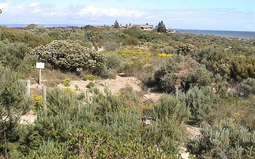 Tennyson Dunes.JPG