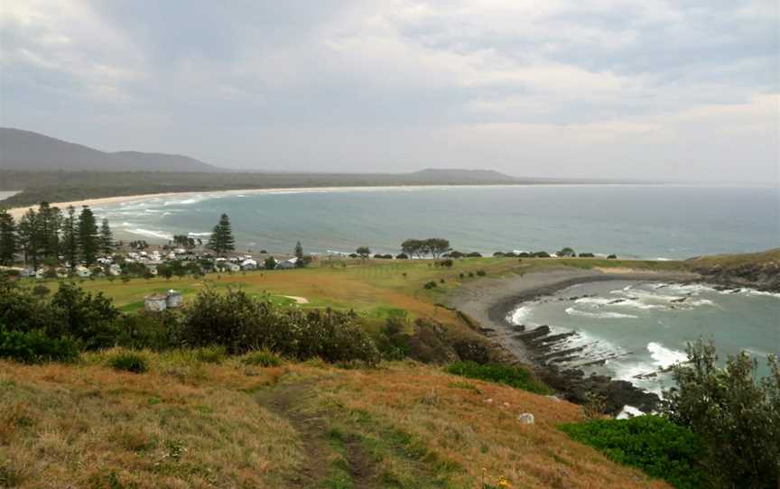 Cresent Head Overview