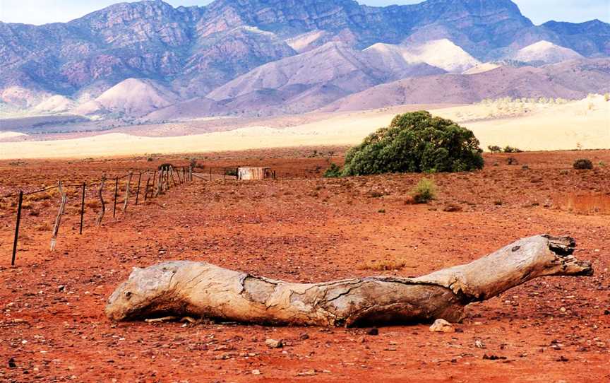 Ikara-Flinders Ranges National Park 04.jpg