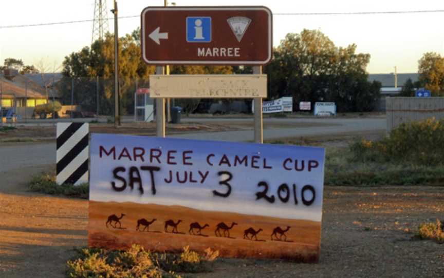 Camel Cup