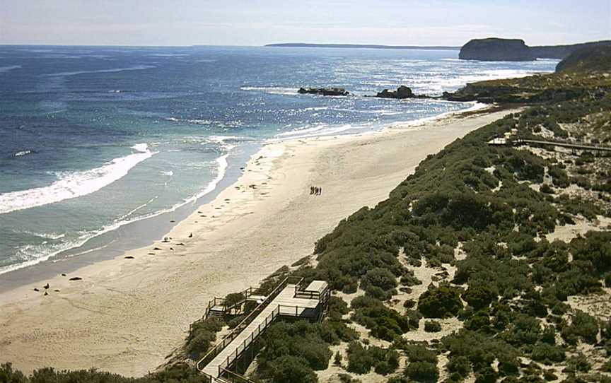 Seal Bay Conservation Park from lookout1.jpg