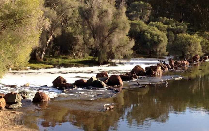 Lions Wier, Hotham River, Boddington Foreshore