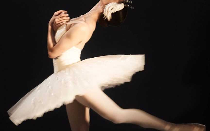 Swan Lake | Brisbane, Events in South Brisbane