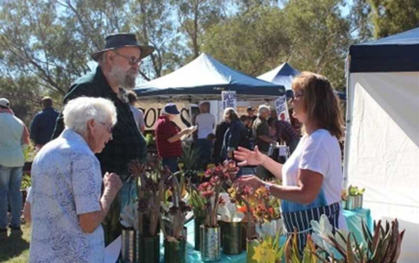 Toodyay Farmers Market, Events in Toodyay