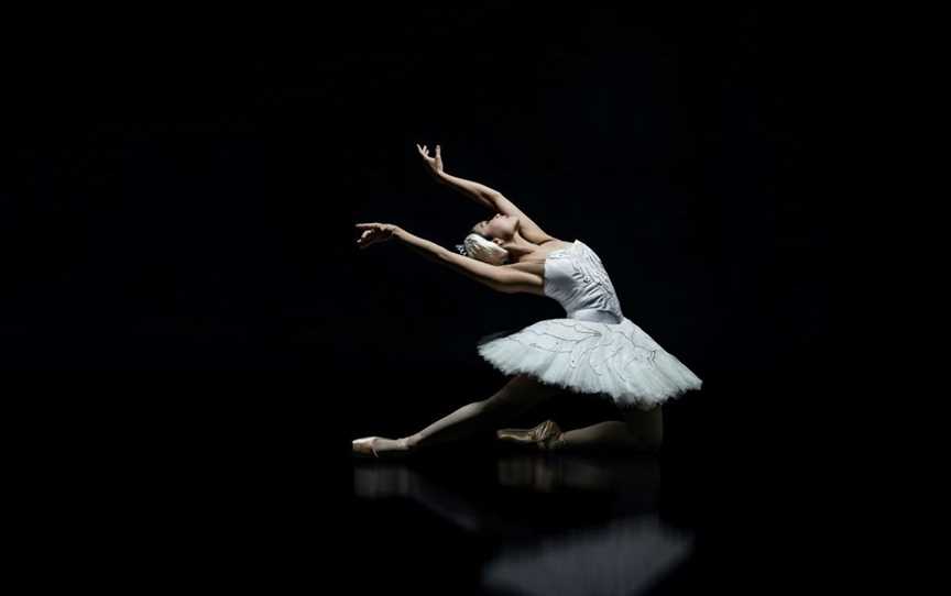 Swan Lake