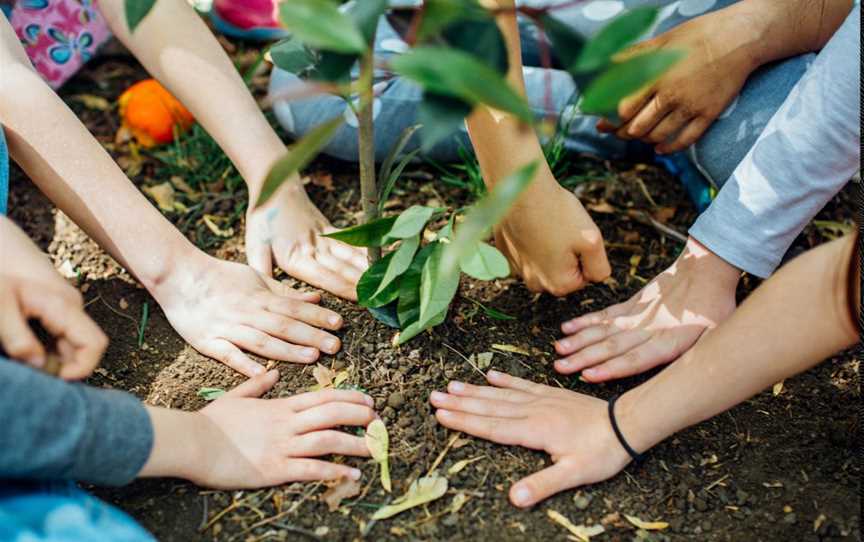 Community Tree-Planting Day , Events in Kingsley