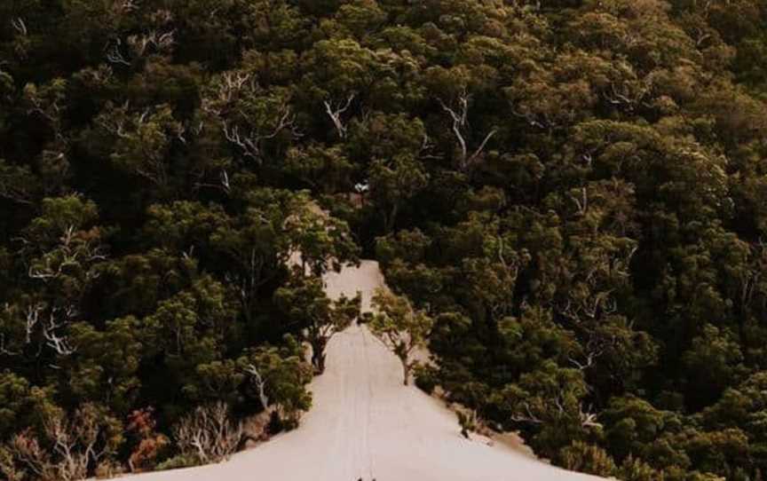 Dunes & Forest Adventure @ Pinot Picnic Festival, Events in Yeagarup