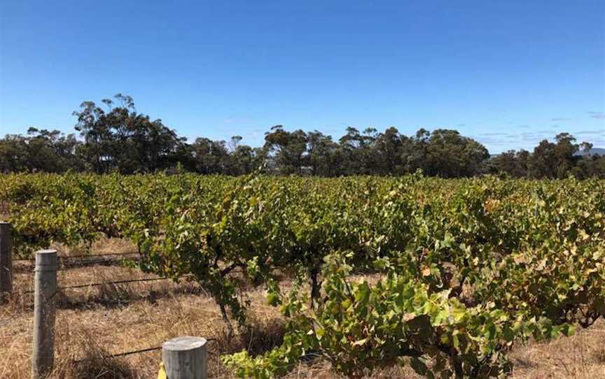 Hawker Ridge Wines, Wineries in Kendenup