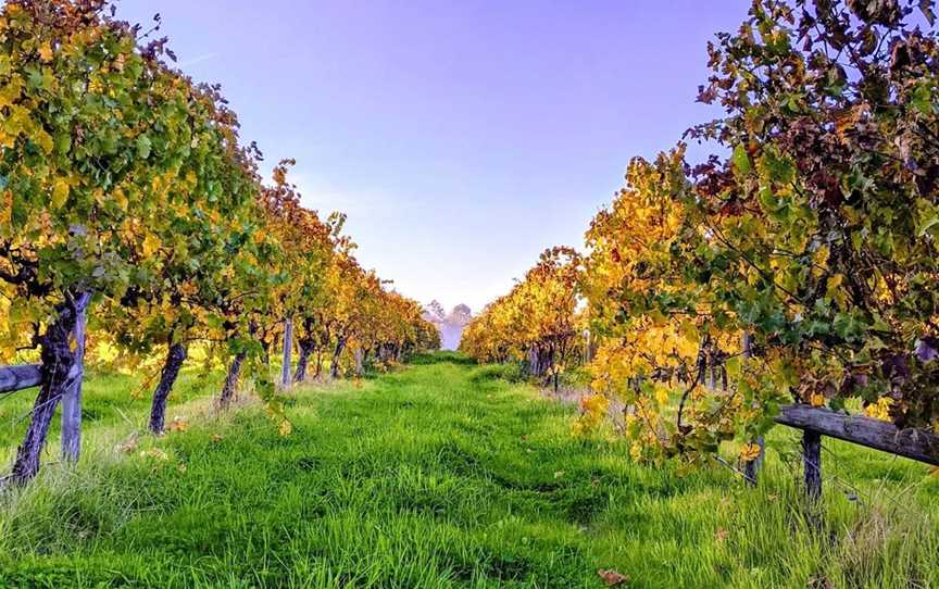 Vintners Ridge Estate, Wineries in Quindalup