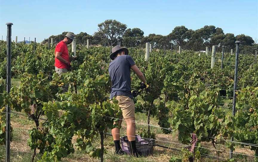 Hawker Ridge Wines, Wineries in Kendenup