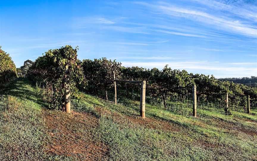 Monty's Leap, Wineries in Kalgan