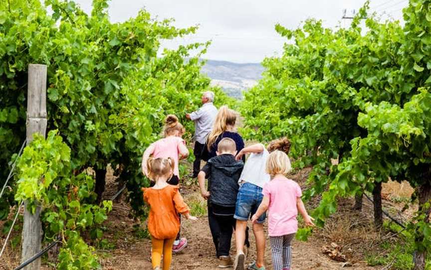 Agostino Wines, Wineries in Aldinga