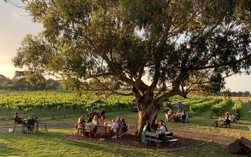 Bennetts on Bellarine, Wineries in Bellarine