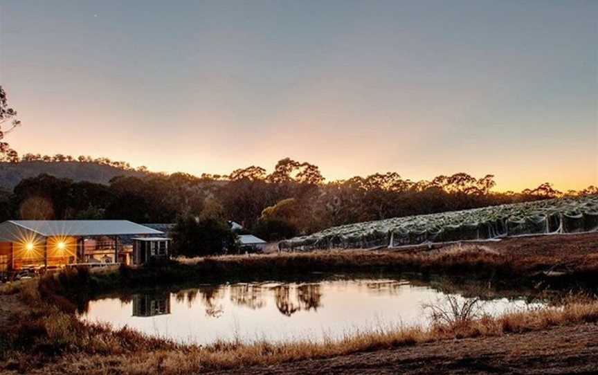 BlackJack Vineyards, Harcourt, Victoria