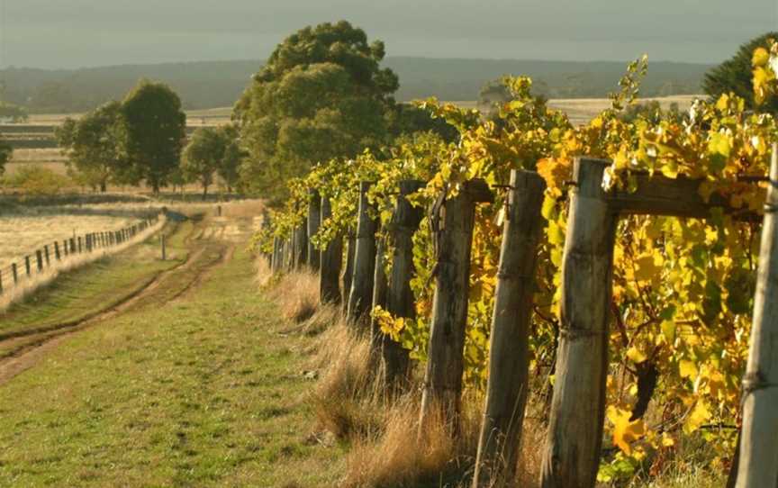 Captains Creek Organic Wines, Blampied, Victoria