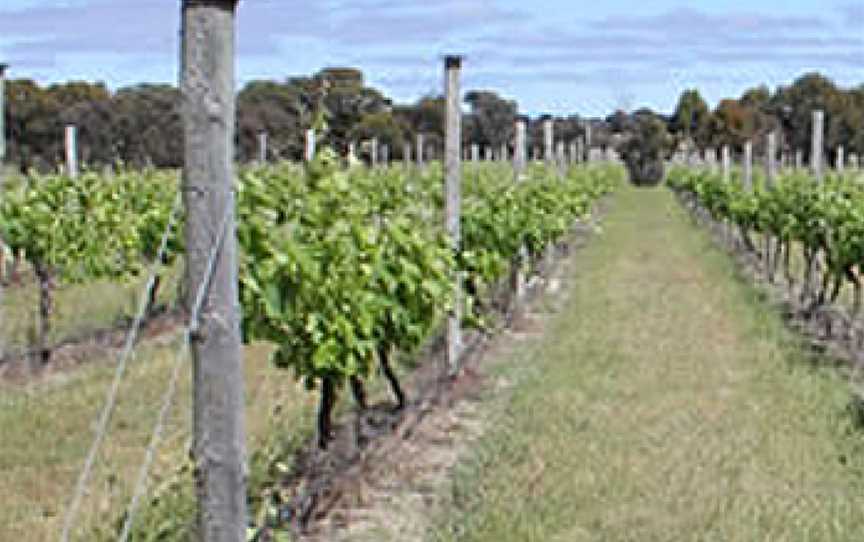 Condie Estate, Heathcote, Victoria