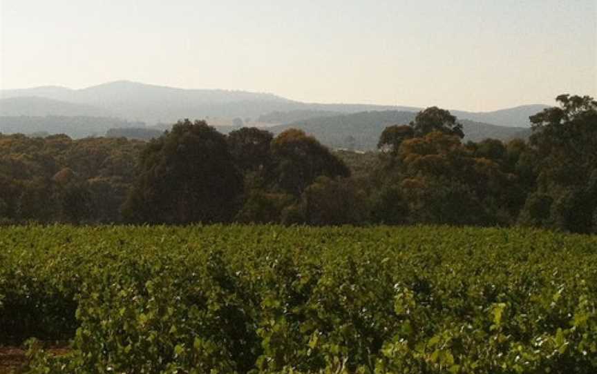 Costanzo & Sons, Strathbogie, Victoria