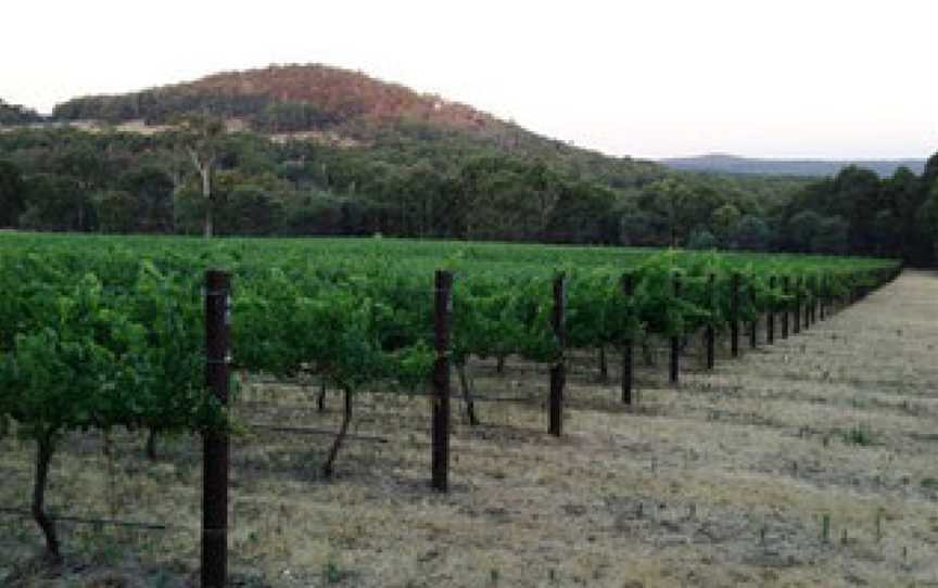 Costanzo & Sons, Strathbogie, Victoria