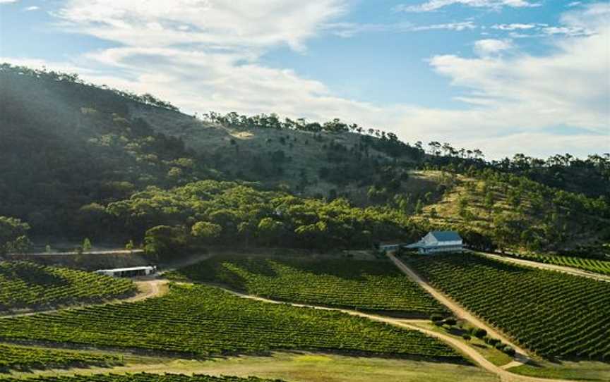 Dalwhinnie Wines, Moonambel, Victoria