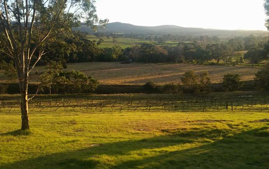 Glenmaggie Wines, Wineries in Maffra