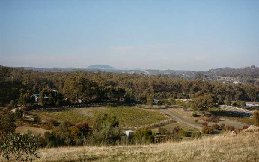 Guildford Vineyard, Guildford, Victoria