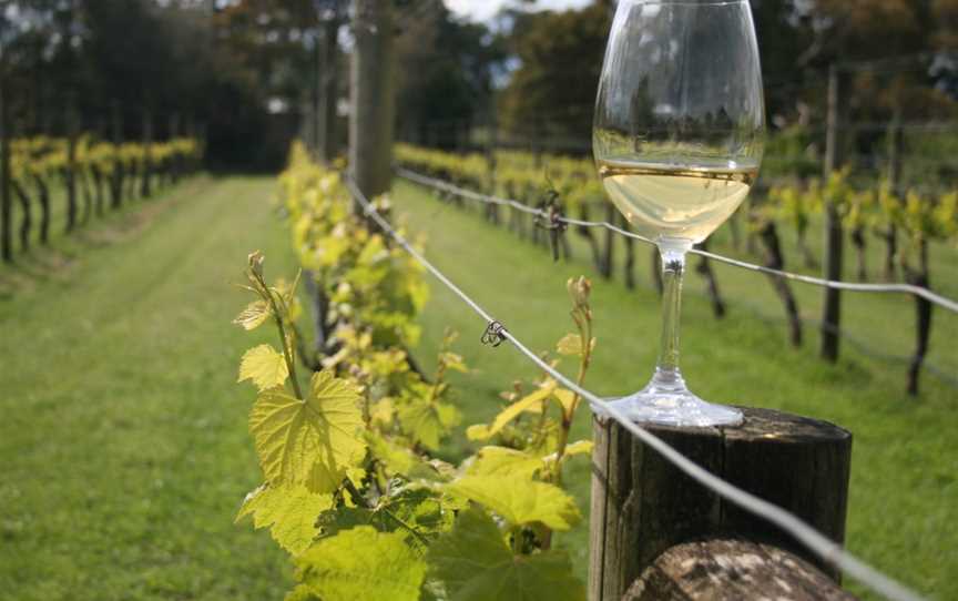 Kings Creek Vineyard, Balnarring, Victoria