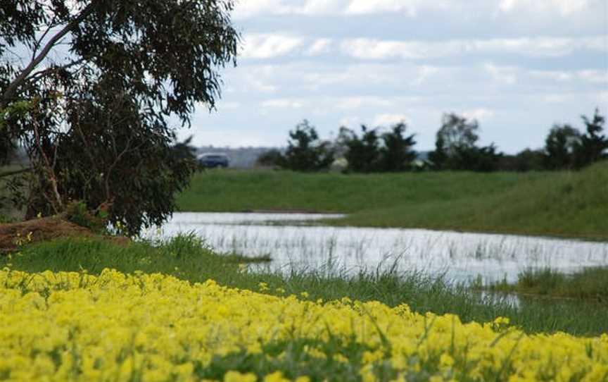 Kisaan Estate Winery, Wineries in Connewarre