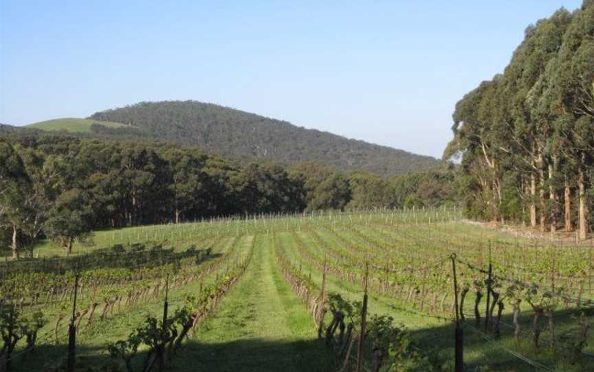 Lane's End Vineyard, Wineries in Lancefield