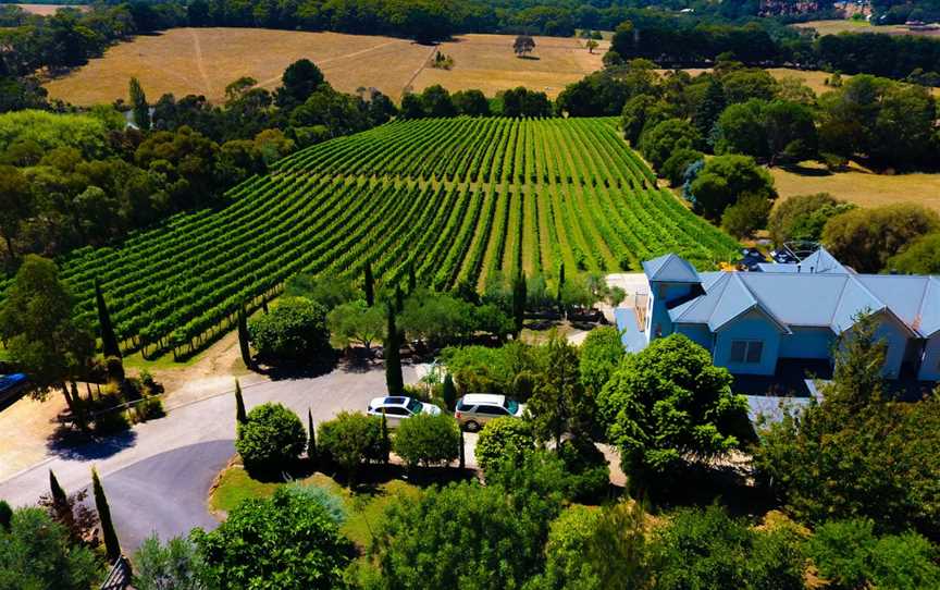 Morning Sun Vineyard, Main Ridge, Victoria