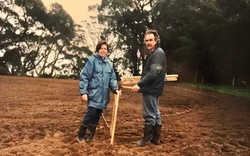 Myrtaceae, Wineries in Main Ridge