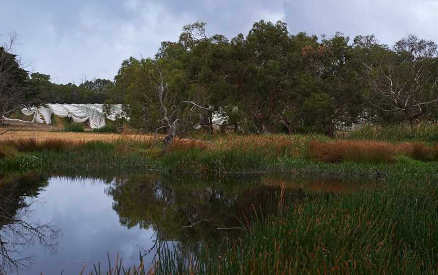 Port Phillip Estate, Red Hill, Victoria